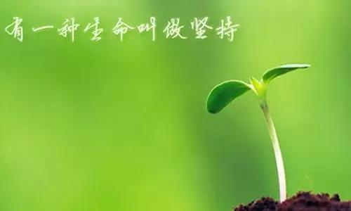 【双语】怎样才能坚持一辈子按时吃药？ قانداق قىلغاندا بىر ئۆمۈر دەل ۋاقىتىدا دورا يېگىلى بولىدۇ؟