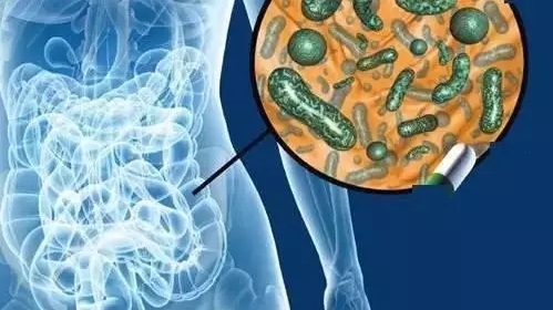 【双语】HIV相关恶心呕吐的解决指南  ئەيىدىز گە ئالاقىدار كۆڭلى ئېلىشىپ قۇسۇشنى ھەل قىلىش قوللانمىسى
