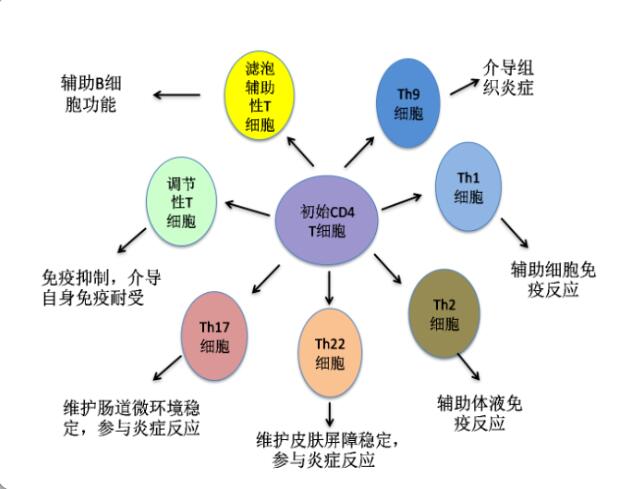 【双语】早吃药难道不会早耐药吗？ ئەجەبا دورىنى بالدۇر يېسە بالدۇر دورىغا چىداملىق بولۇپ قالمامدۇ؟