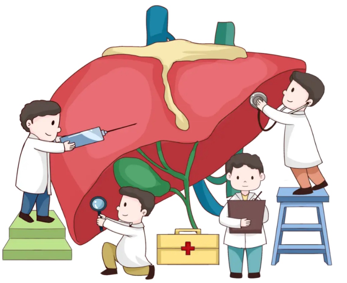 【双语】【健康科普】传染性乙肝健康科普知识 ساغلاملىقنى ئومۇملاشتۇرۇش: يۇقۇملۇق ب تىپلىق جىگەر ياللۇغى توغىرسىدىكى ساغلامل
