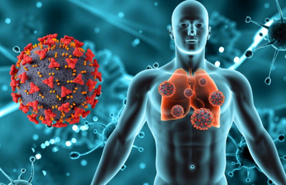 从HIV感染到艾滋病，身体有没有做抵抗呢？