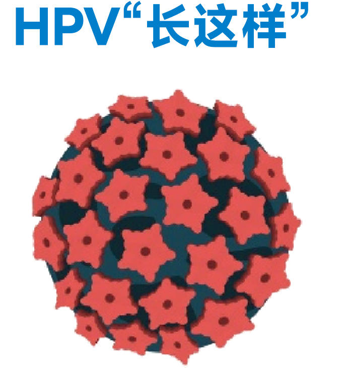 HPV离我们的距离有多近？