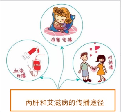 【双语】【健康科普】警惕！丙肝与艾滋病3大传播途径重合，合并感染危害直接翻倍 ئېھتىيات قىلىڭ! C تىپلىق جىگەر ياللۇغى بىلەن ئەيدىز ۋىرۇسىنىڭ