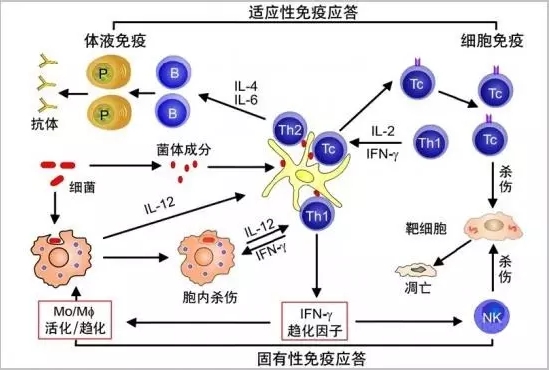 QQ拼音截图20170421202043.jpg