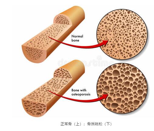 QQ截图20210222193125.jpg