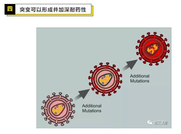 QQ截图20210502204358.jpg