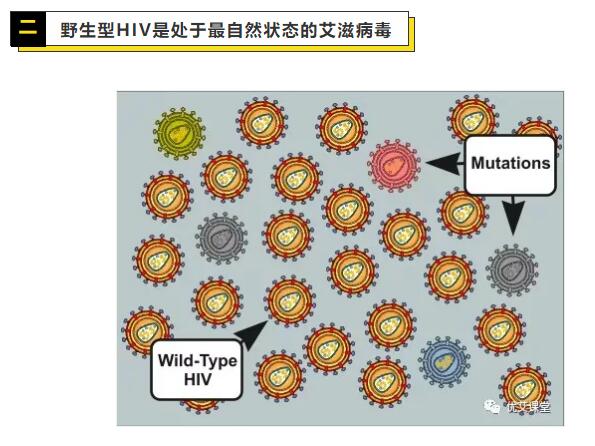 QQ截图20210502204235.jpg