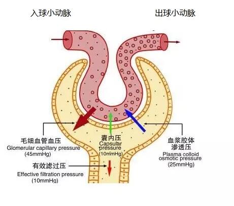 QQ截图20210826215238.jpg