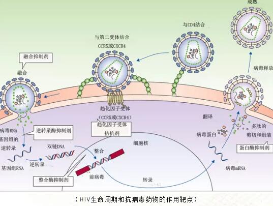 QQ截图20211229190620.jpg