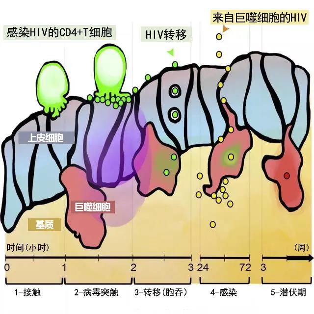 微信图片_20220114224631.jpg