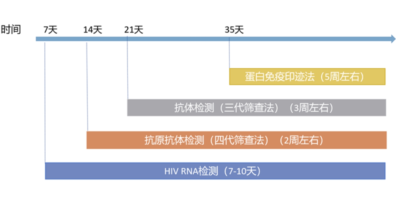 HIV检测“排除时间”国家疾控给了一个说法！