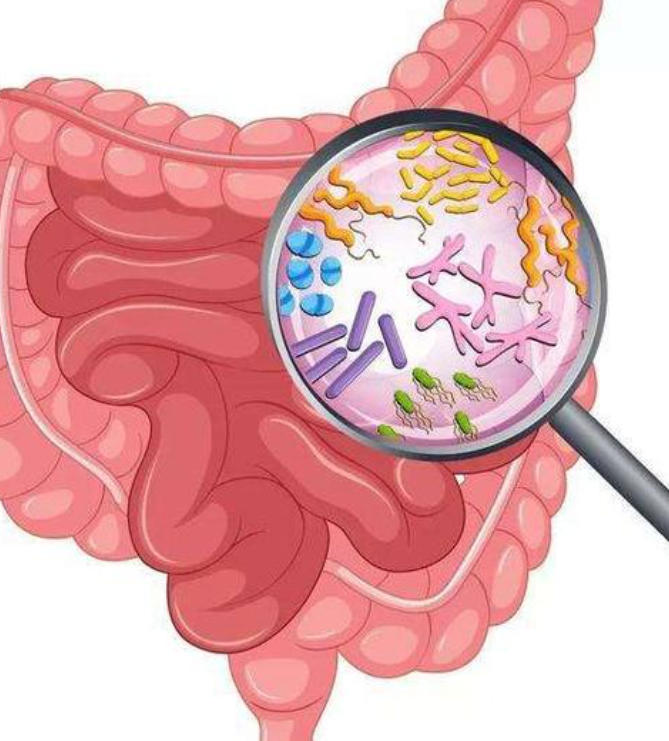 「艾滋病毒」和「肠道」：为什么它对治愈很重要
