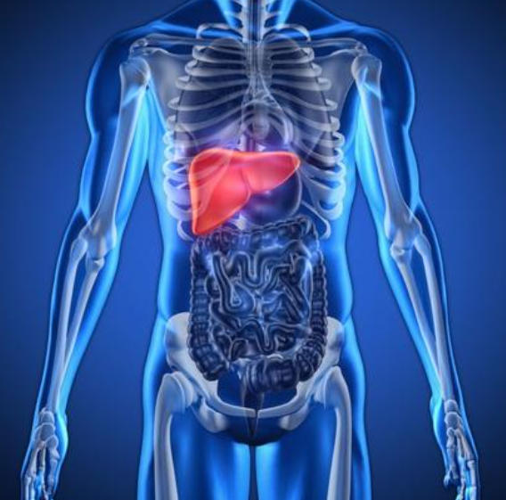 HIV 患者需警惕 “沉默的肝脏杀手”！最新专家共识划定诊疗新范式