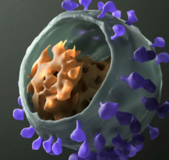 高危行为后，如何检测艾滋病感染？