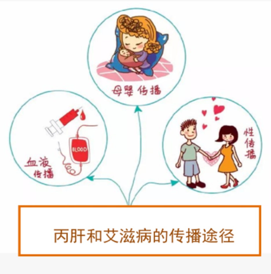 【双语】警惕！丙肝与艾滋病3大传播途径重合，合并感染危害直接翻倍 ھوشيار بولۇڭ س تىپلىق جىگەر ياللۇغى بىلەن ئەيدىزنىڭ ئۈچ چوڭ تارقىلى