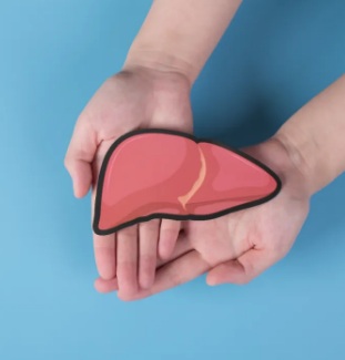 【双语】和乙肝患者一起吃饭、握手会被传染？ ب تىپلىق  جىگەر ياللۇغى بىمارلىرى بىلەن بىللە تاماق يەپ، قول ئېلىشىپ كۆرۈشسە ي