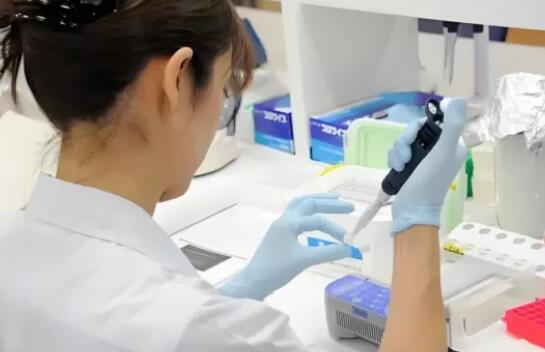 免疫系统的“晴雨表”——CD4/CD8比值，你了解过吗？