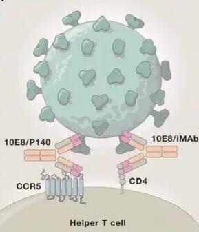女HIV病患自然痊愈，男友和婴儿也是阴性