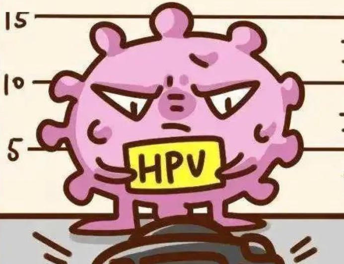 “疣”惑来袭：解锁尖锐湿疣的“传播密码”