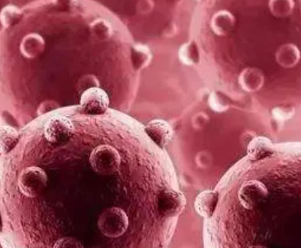 梅毒的“沉默三部曲”：一期、二期与三期的生死局