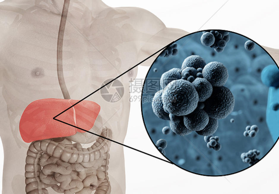 【肝炎五步曲其二】关于乙肝，你必须知道的真相！