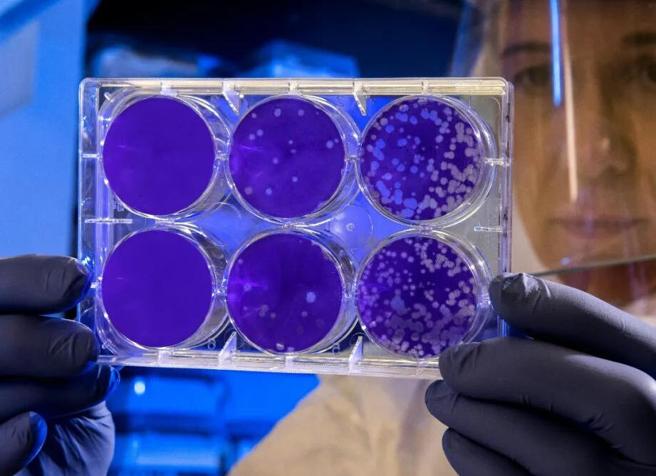 梅毒在中国的60年： 从基本消灭;到年增64万例