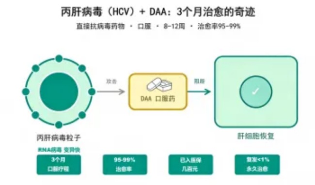 【双语】【健康科普】丙肝｜一种能治好的肝炎 [ساغلاملىق ئوموملاشتۇرۇش بىلىملىرى ] C تىپلىق جىگەر ياللۇغى | داۋالىغىلى بولىد